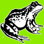 cropped-Toad.png